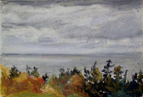 Fall Trees Steel Sky